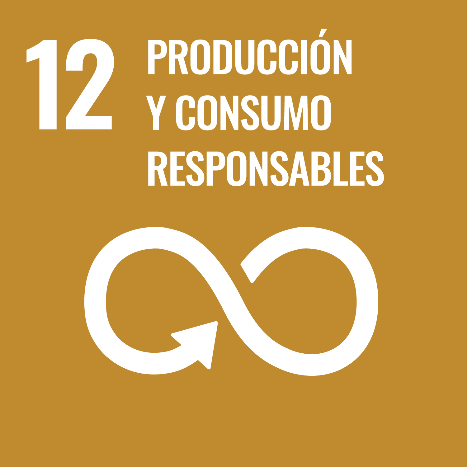 12 Producción y consumo responsables