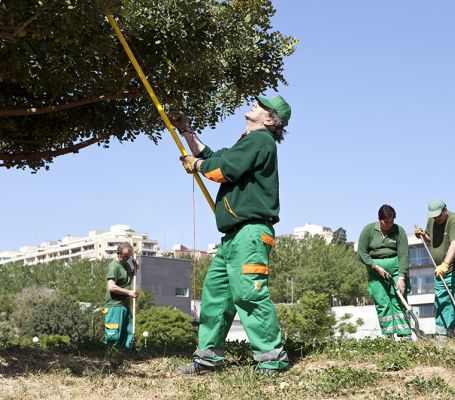 Plusieurs jardiniers du Groupe SIFU effectuant des tâches de nettoyage dans une zone forestière